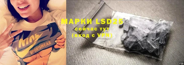 PSILOCYBIN Майский