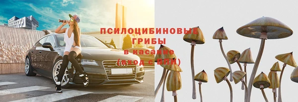 стаф Магадан