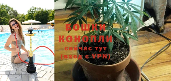 PSILOCYBIN Майский