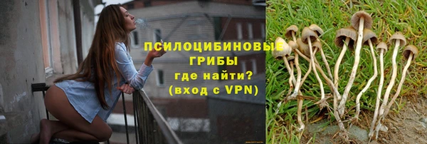стаф Магадан
